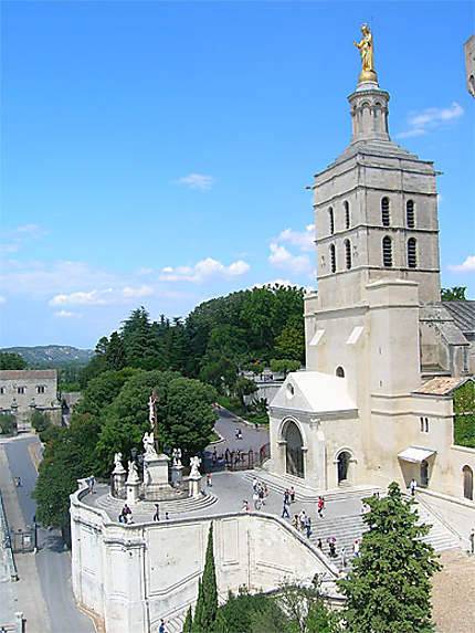 notre dame des doms avignon