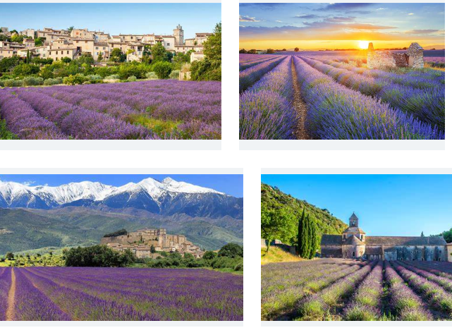 La Provence à quelques pas, visites départ d’Avignon